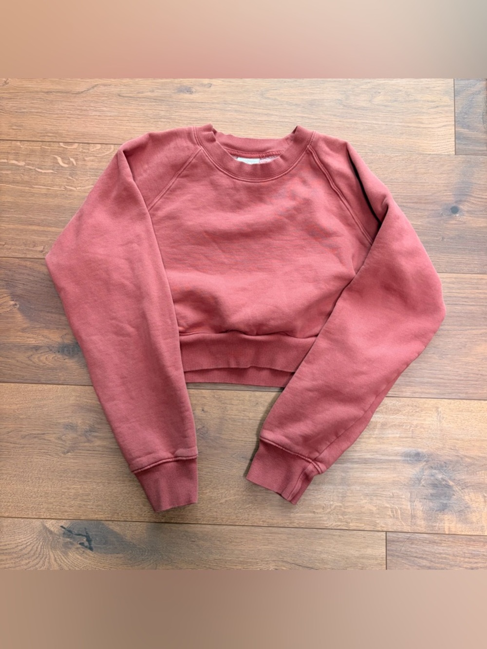 Aritzia Sweatshirt